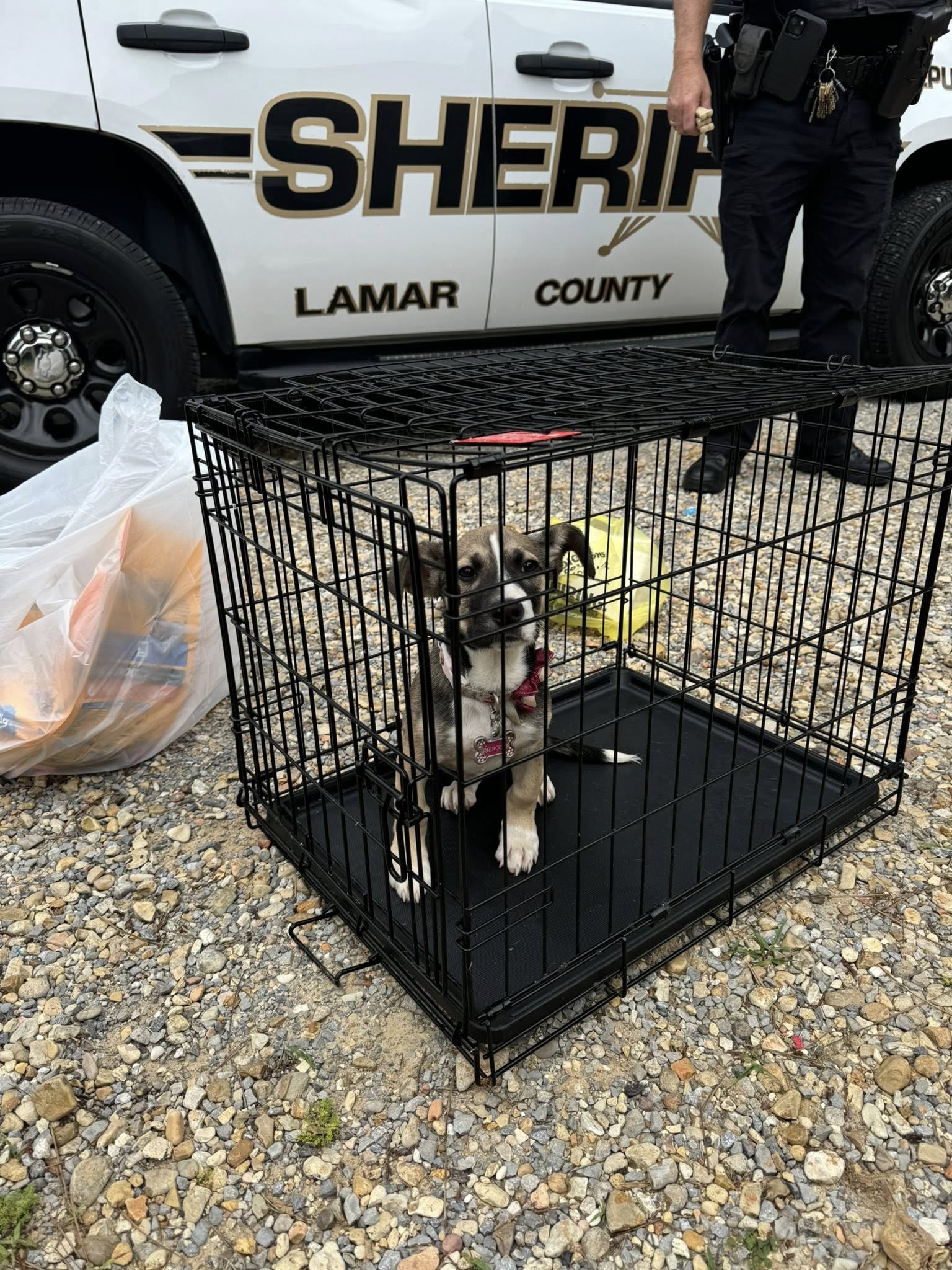 police officer and dog in cage