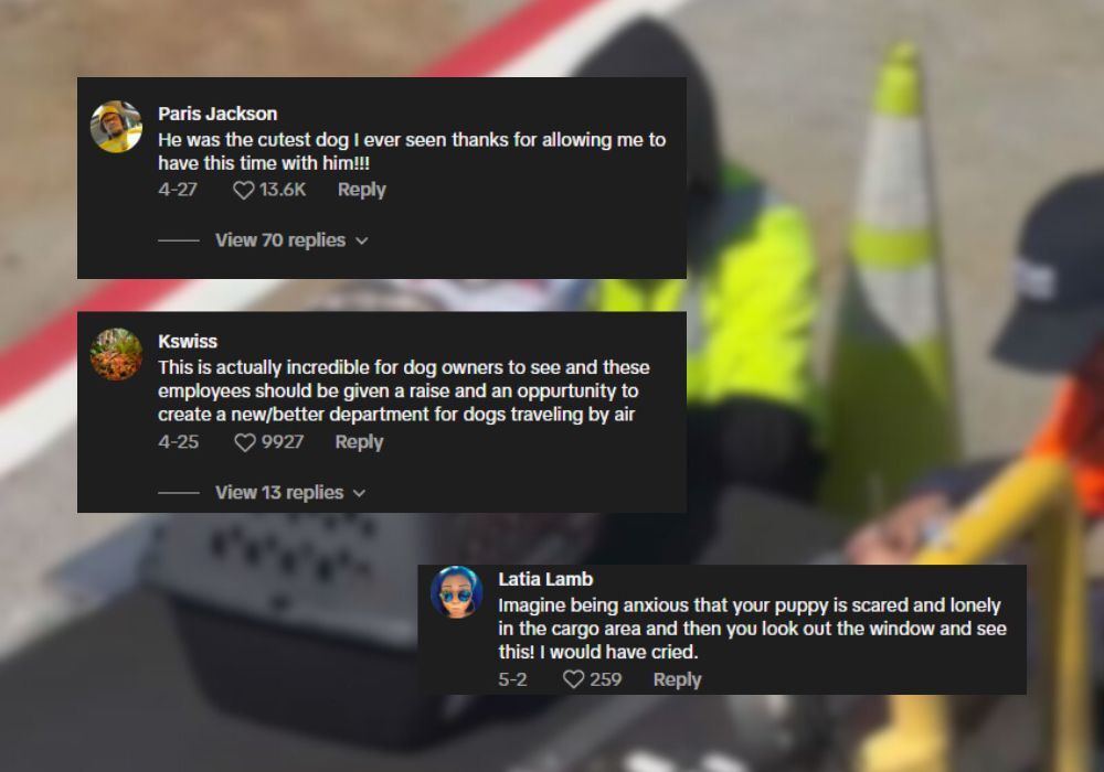 tiktok comments