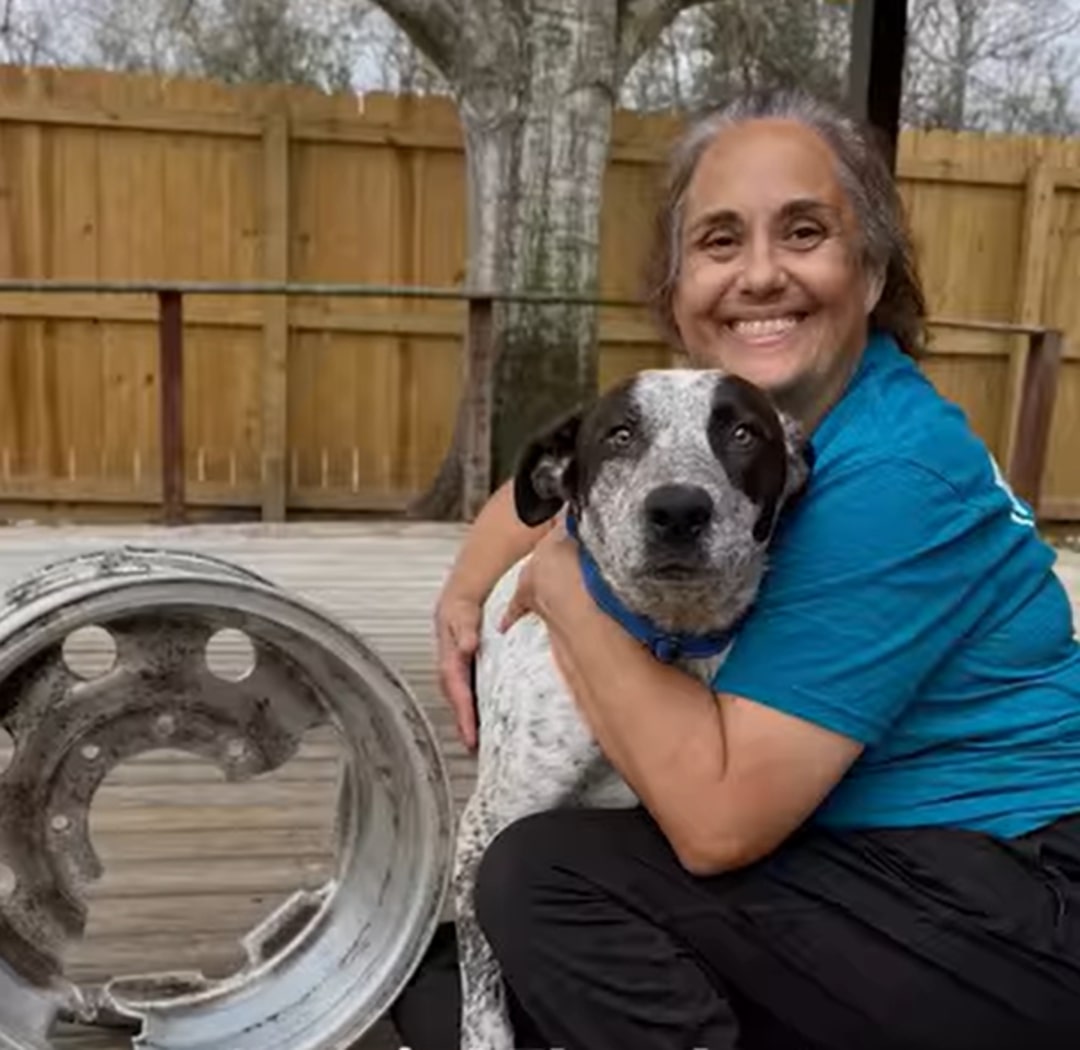 woman and black and white dog