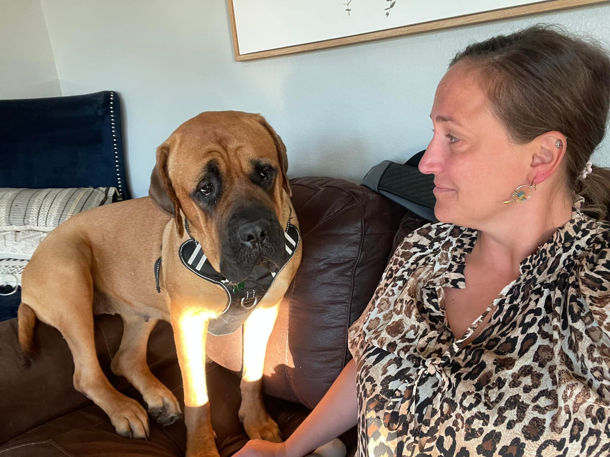 woman and mastiff