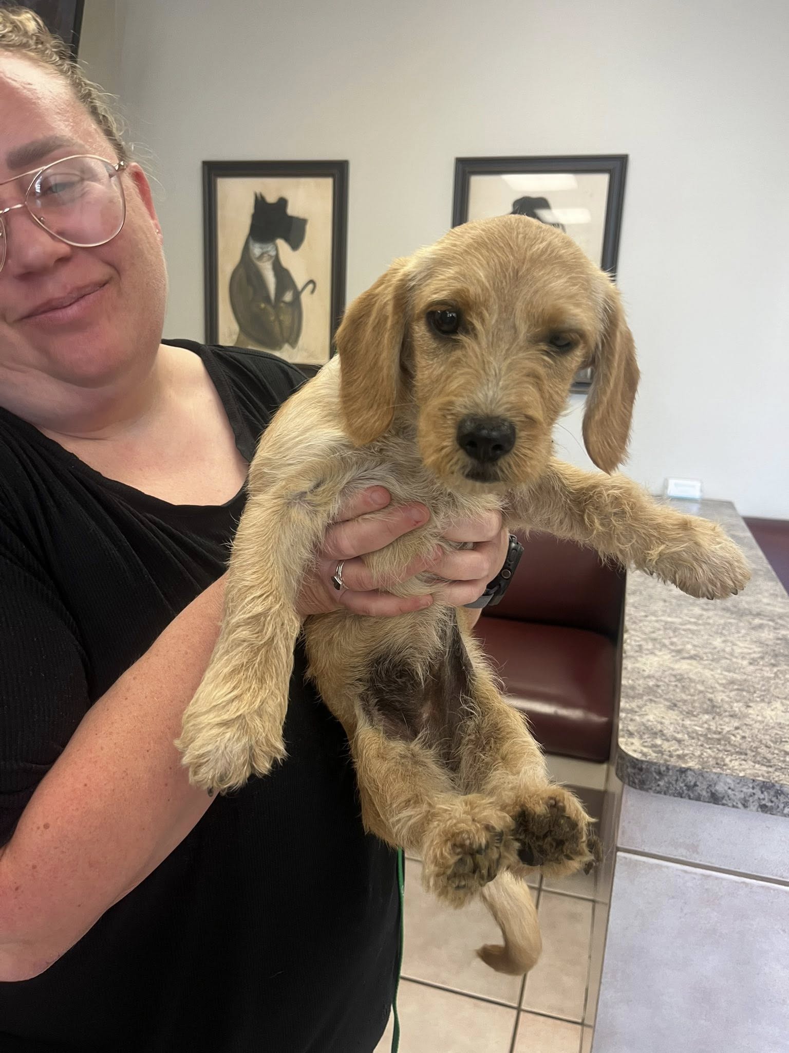 woman holding a tiny dog