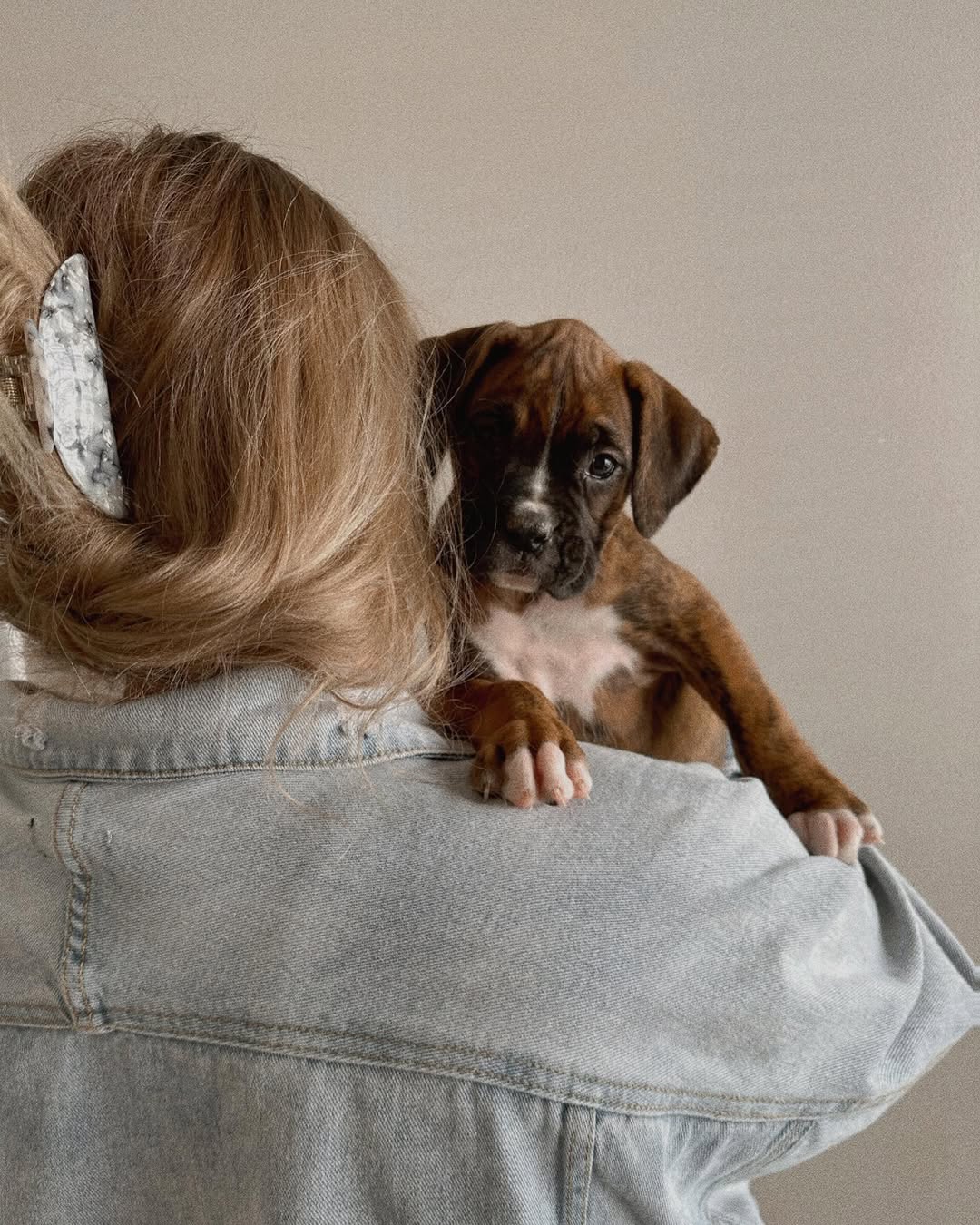 woman holding an adorable dog