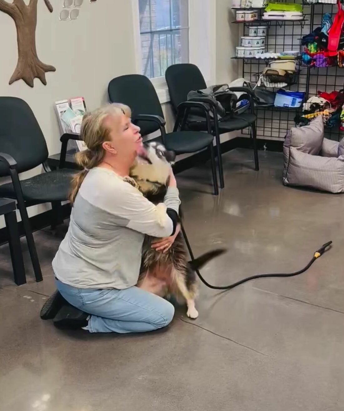 woman hugging a dog