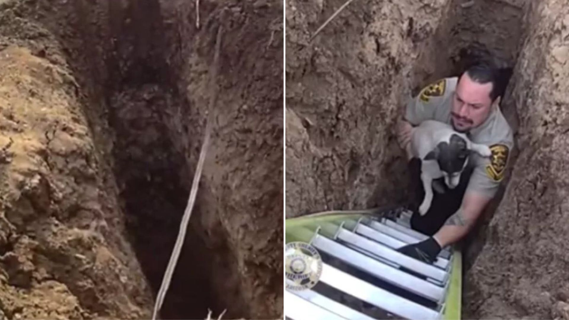 A Man From Arizona Hears Strange Sounds Coming From A Deep Hole And Makes A Shocking Discovery
