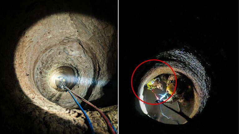 dog trapped underground