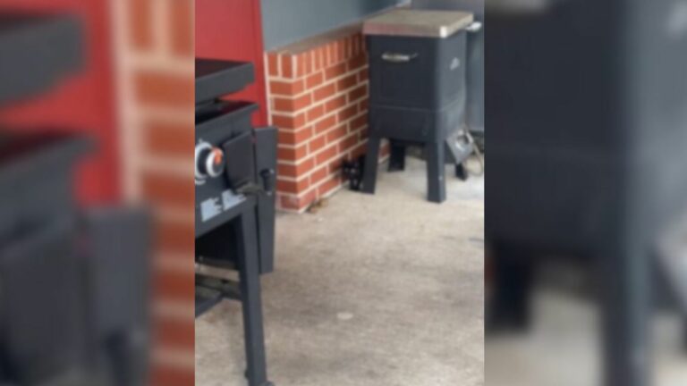 tiny kitten near fire station