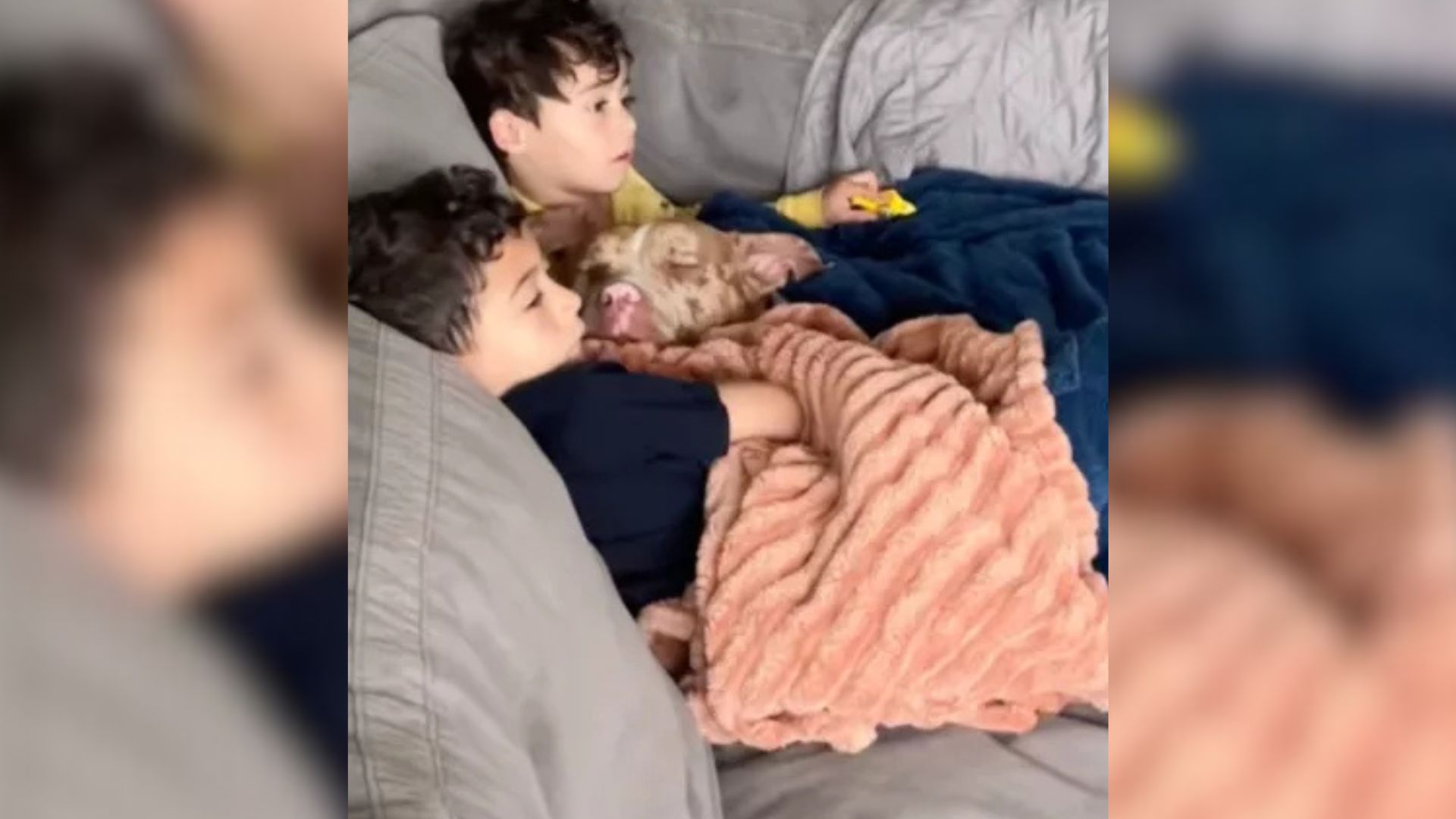 dog and kids