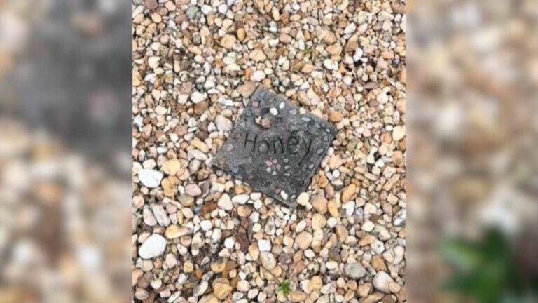 dogs grave