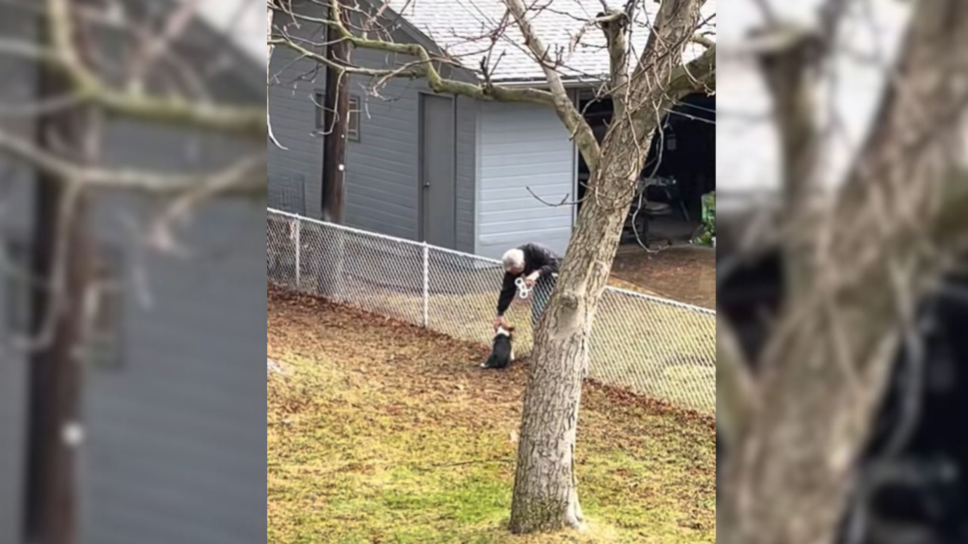 Heartwarming DIY Tool Brings Elderly Minnesota Couple Closer To Their Neighbor’s Corgi