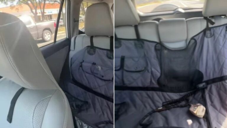 empty backseat