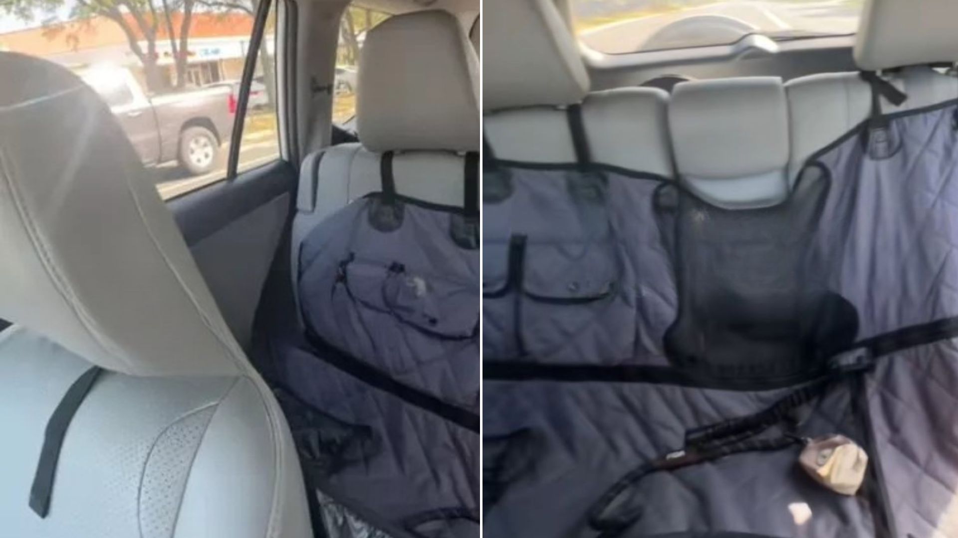 empty backseat