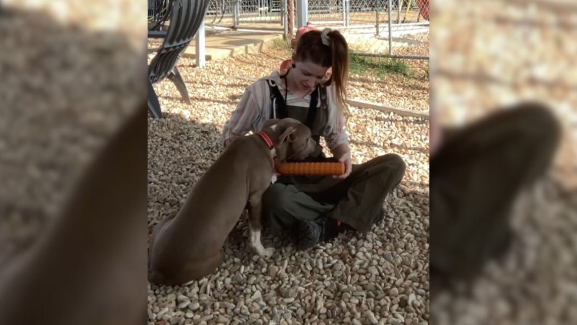 woman and dog