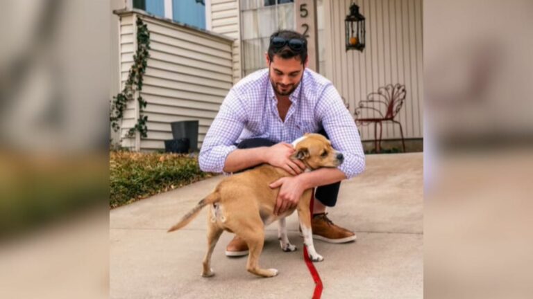 man and his dog
