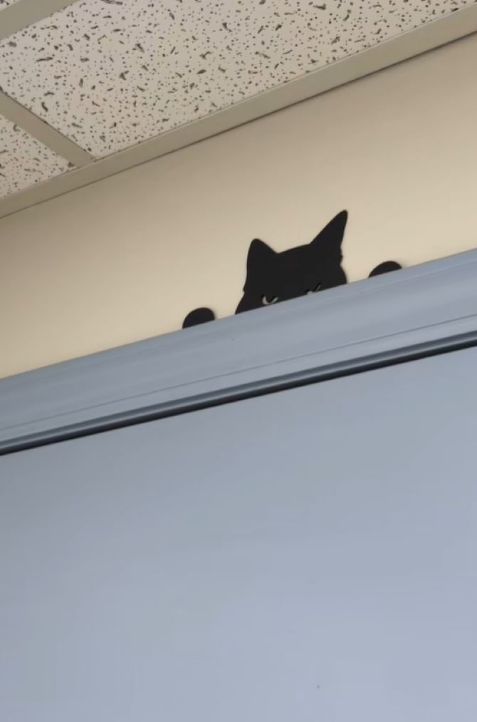 black cat paint