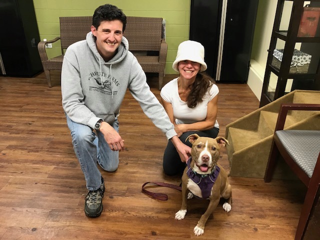 couple and sweet dog