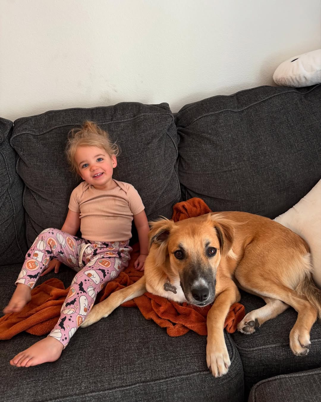 dog and kid on couch