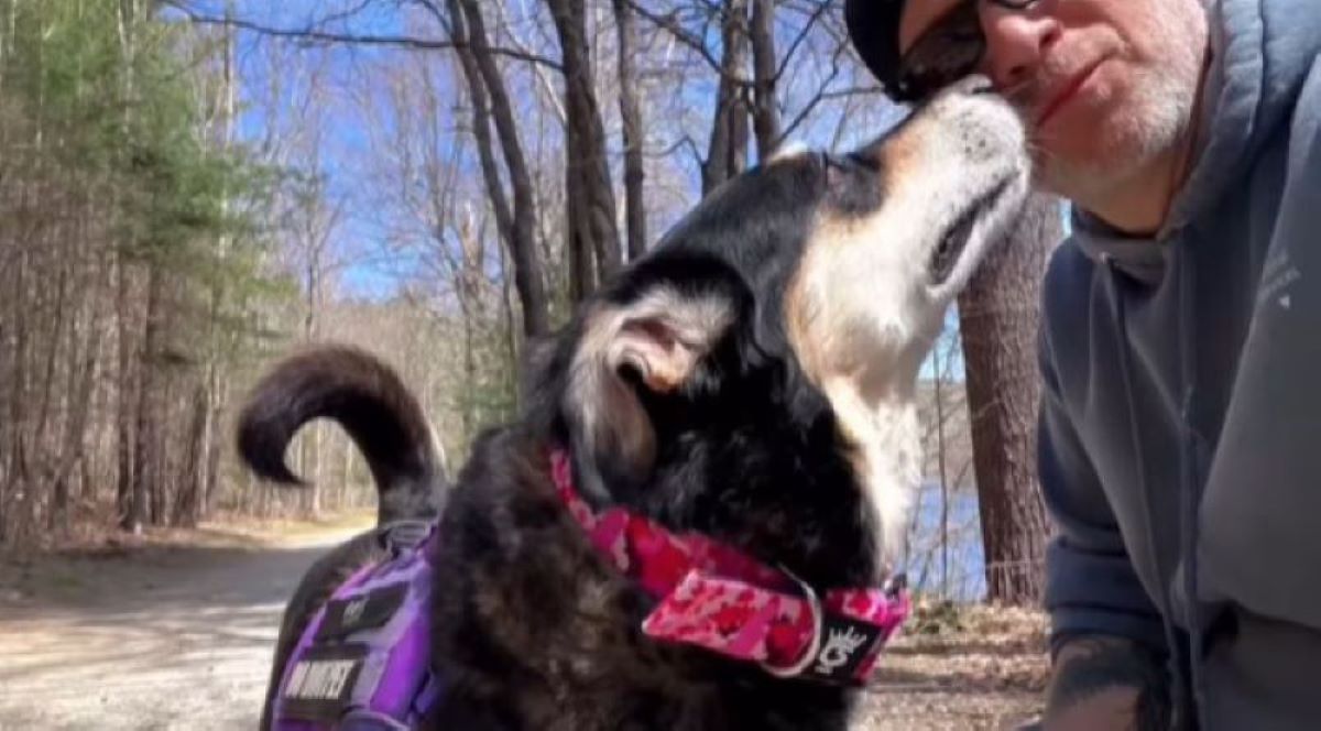 dog kissing an owner