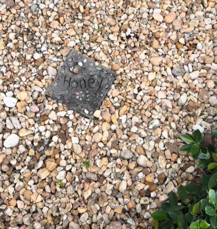 dogs grave