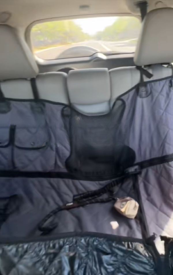 empty backseat