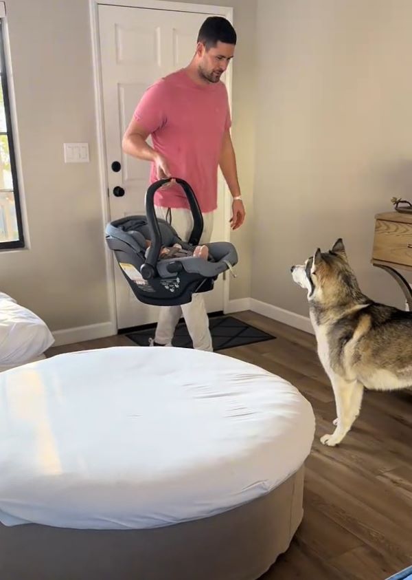 husky and man holding a baby