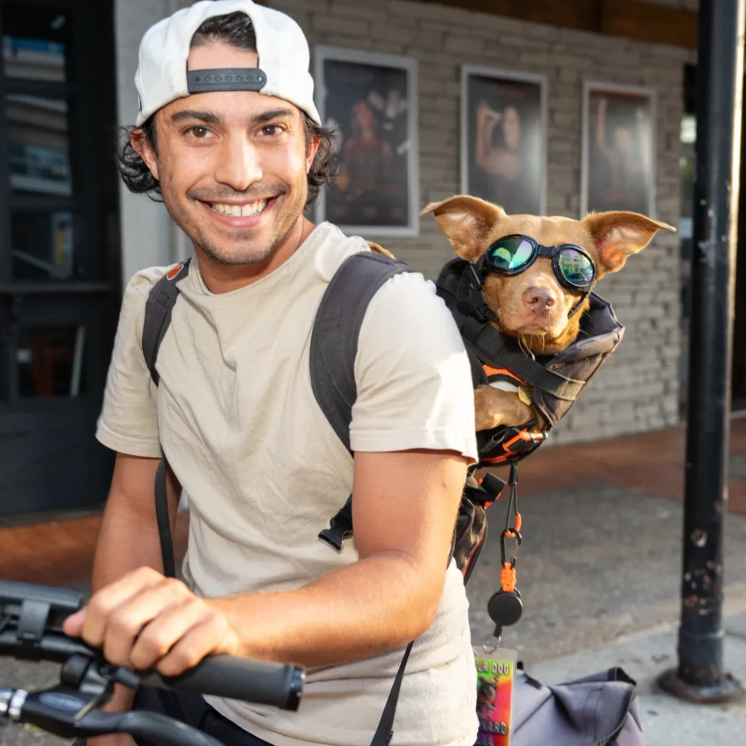 man and dog on bike