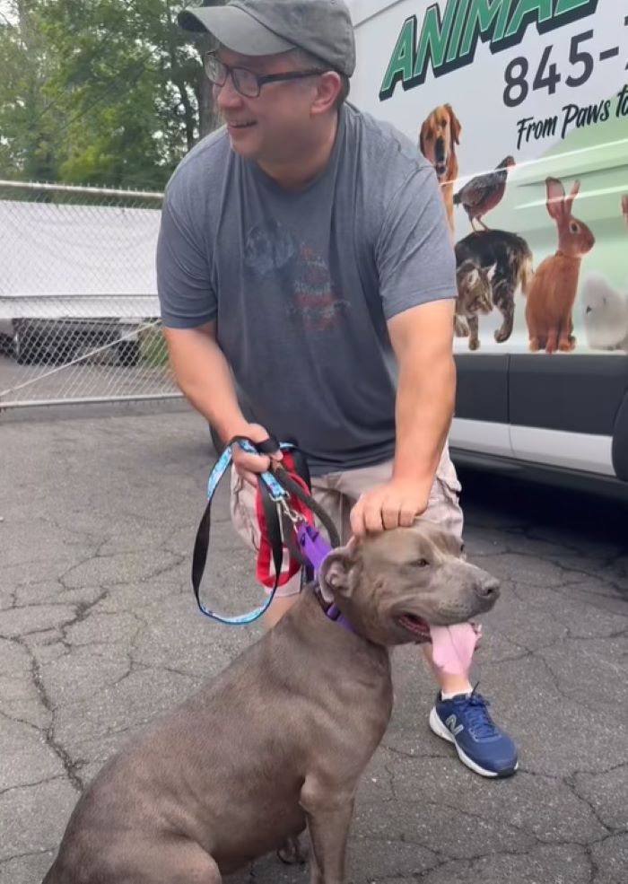 man and dog on leash