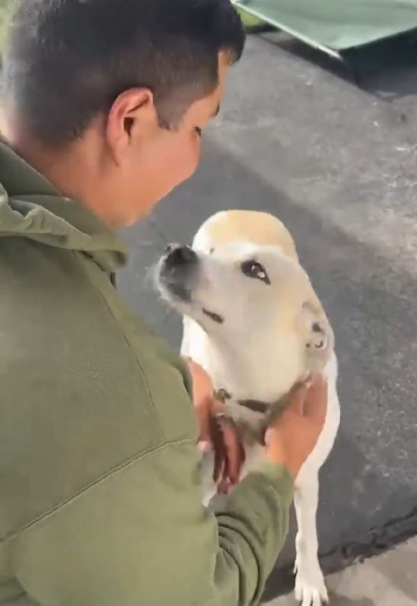 man and white dog