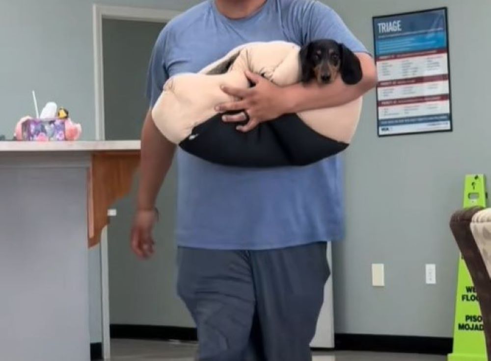 man holding a dog