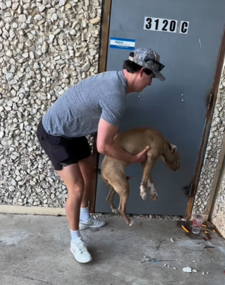 man holding a stray dog