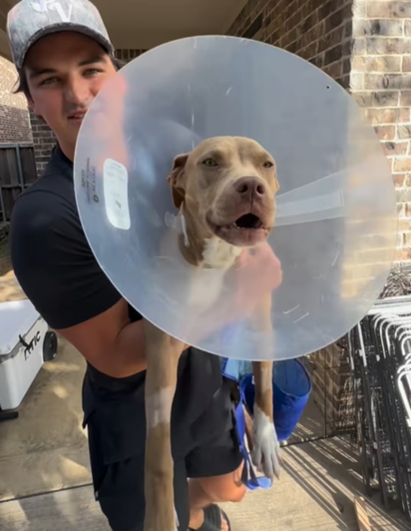 man holding a sweet dog