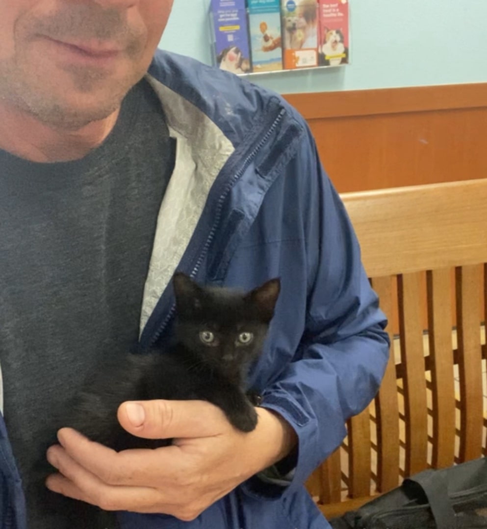 man holding a tiny black kitten