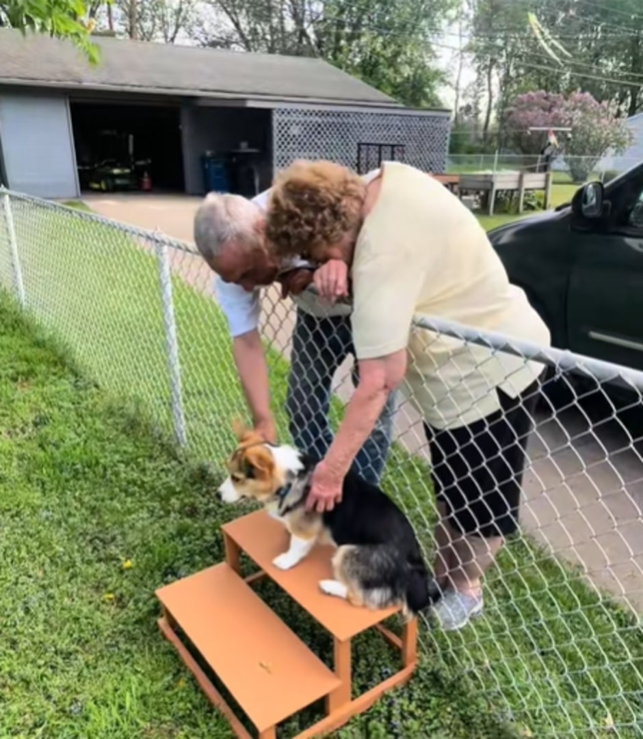 old couple petting a dog