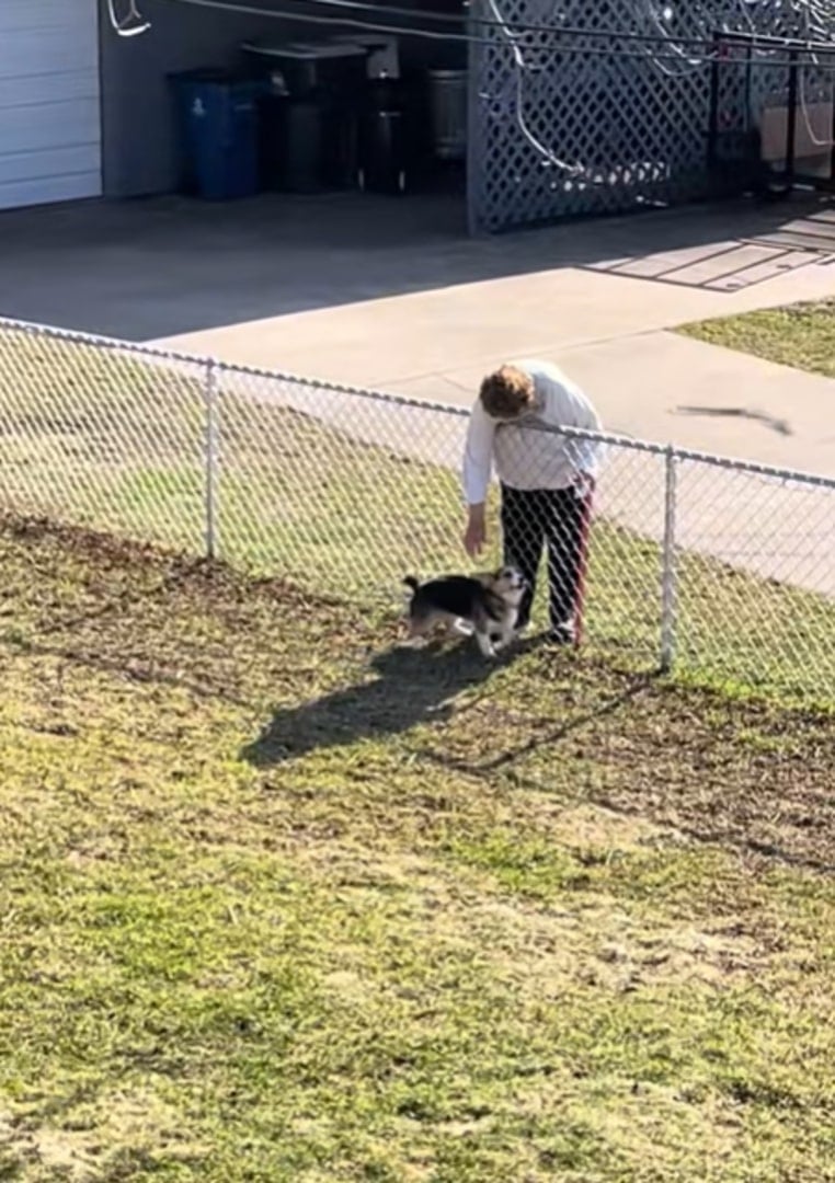old woman petting a dog