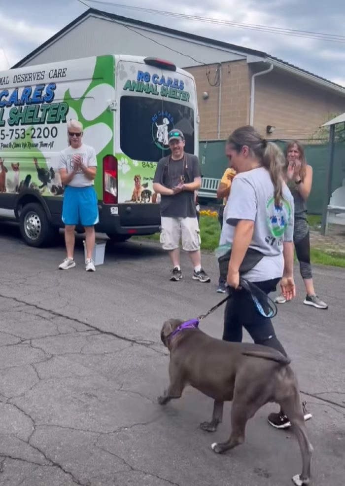 people and dog