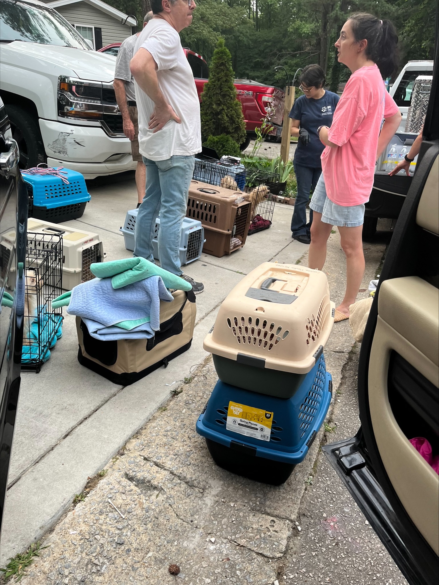people and dogs in crates