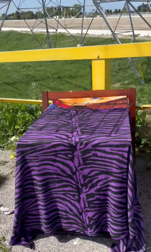 pink blanket