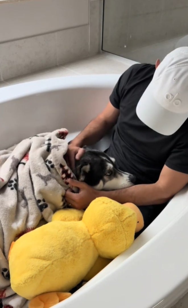 sweet husky and owner