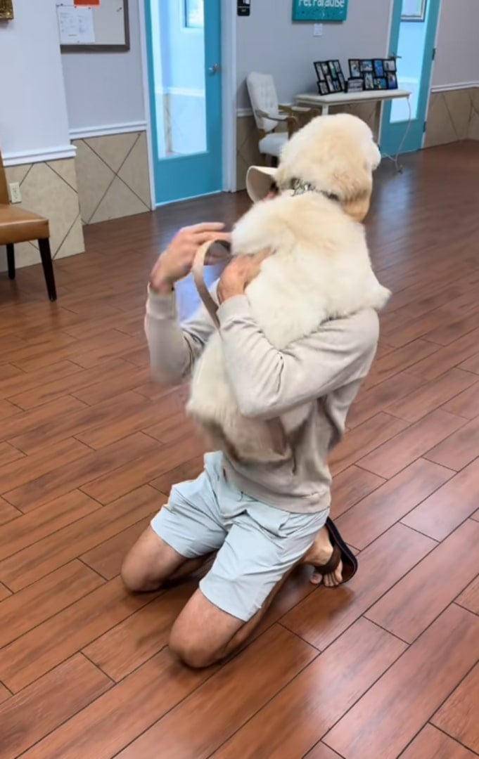 white dog and old man