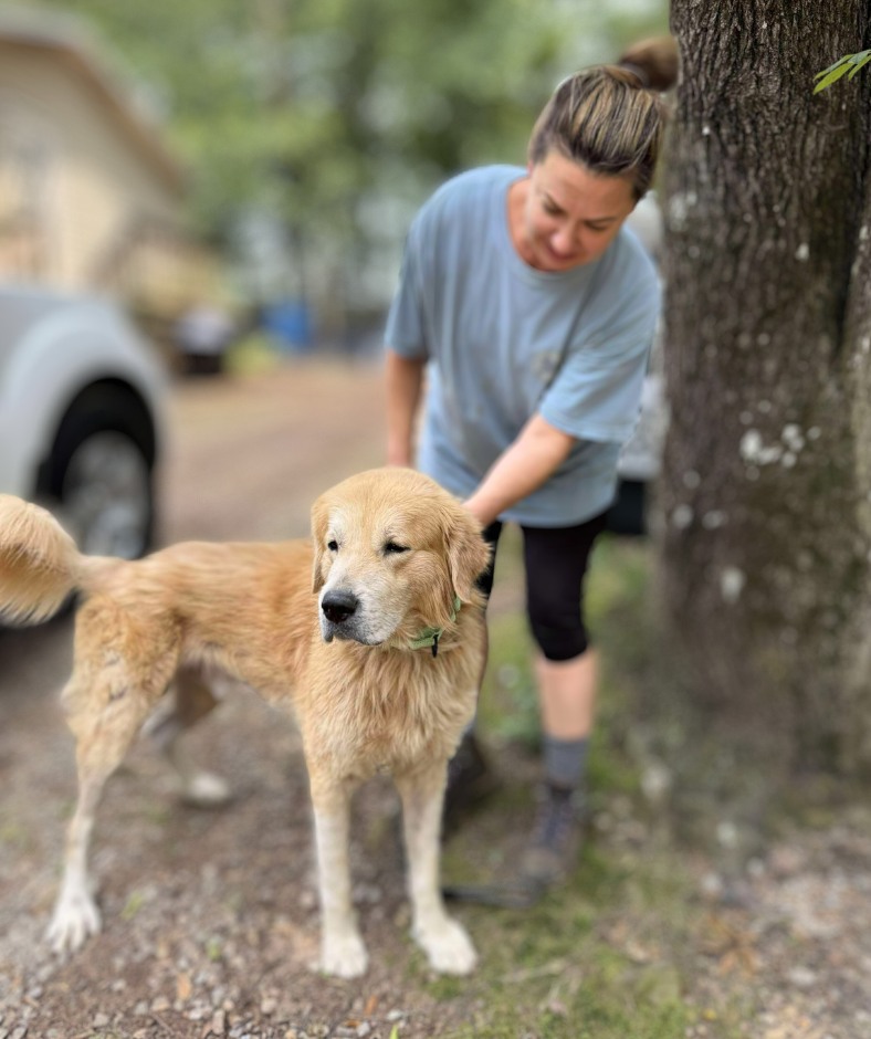 woman and brown dog