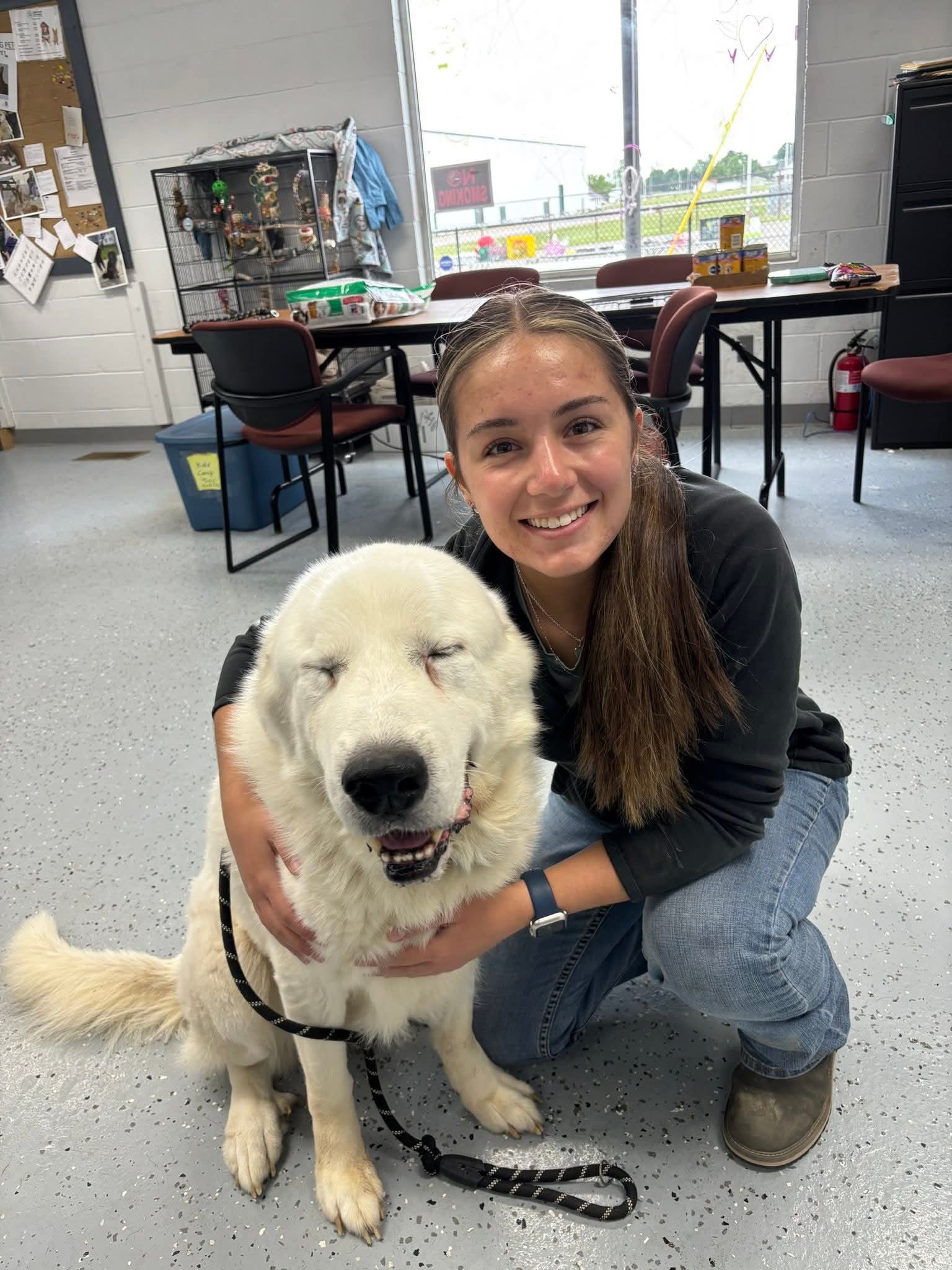 woman and happy white dog