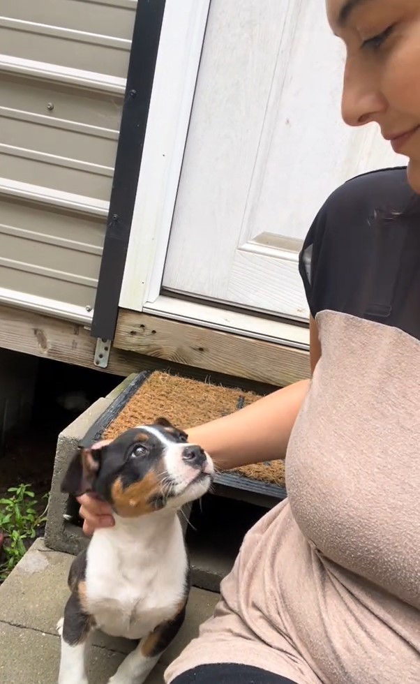 woman and her tiny dog