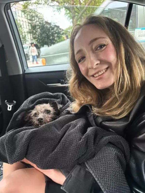 woman and injured dog in car