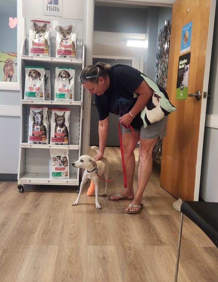 woman and injured dog