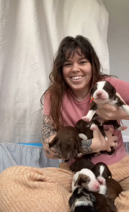 woman and many newborn puppies