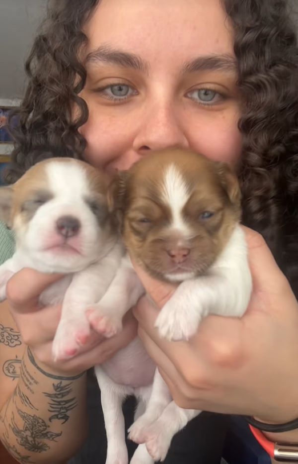 woman holding a two puppies