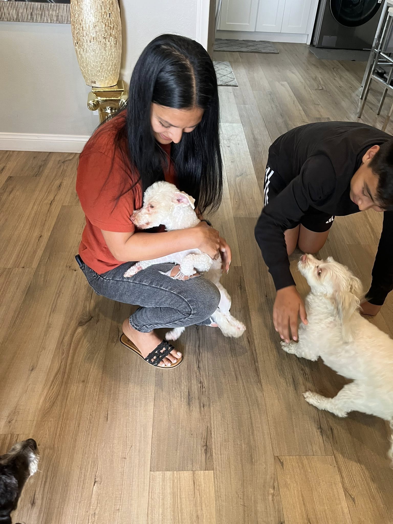 woman holding a white puppy