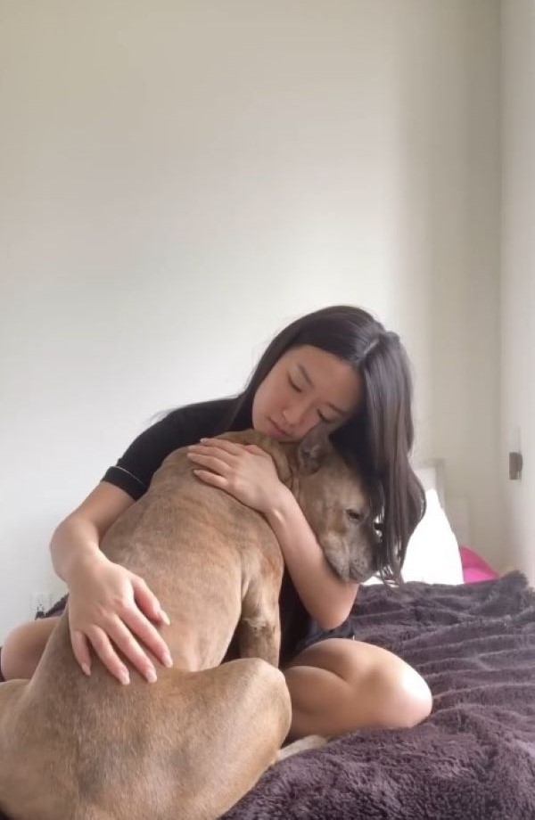 woman hugging a Pit Bull