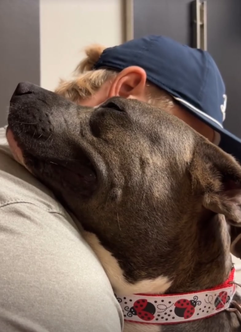 woman hugging the dog
