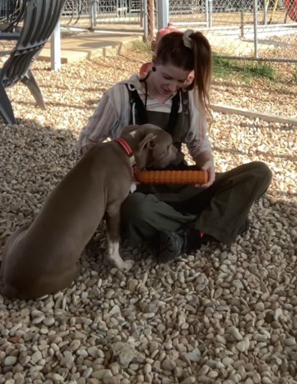woman playing with dog