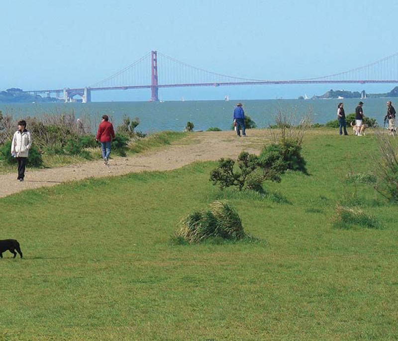 Point Isabel Regional Shoreline: A Waterfront Canine Paradise